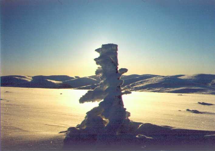 Kaarnep��ll� oli aurinkoista