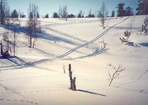 P�iv�retkemme Stuorrabogoaiville piirsi matkan varren m�keen t�llaiset j�ljet.