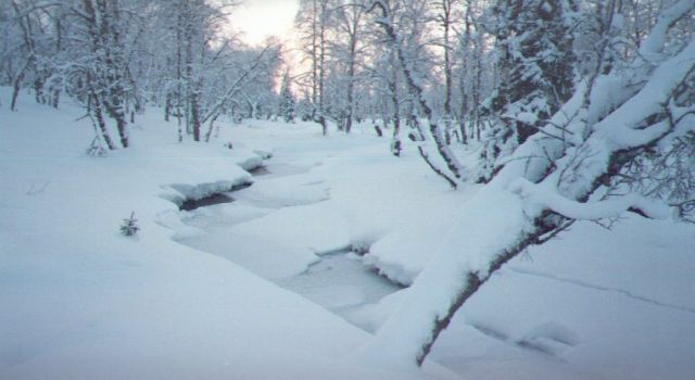 Vittukeinon Peskihaara