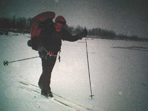 Silisjoki, Kaldoaivi