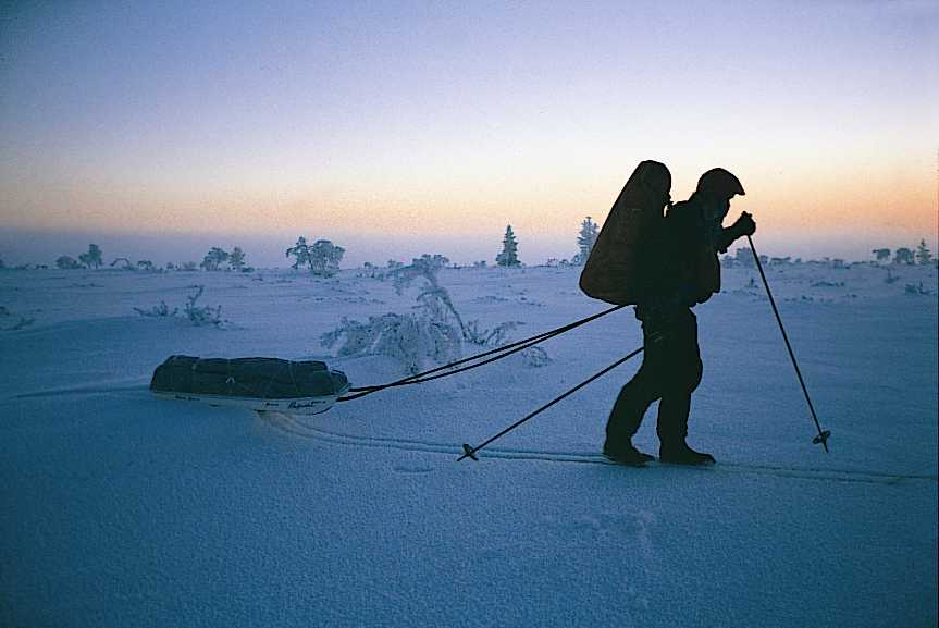 Sarjakuva, kuvasarja